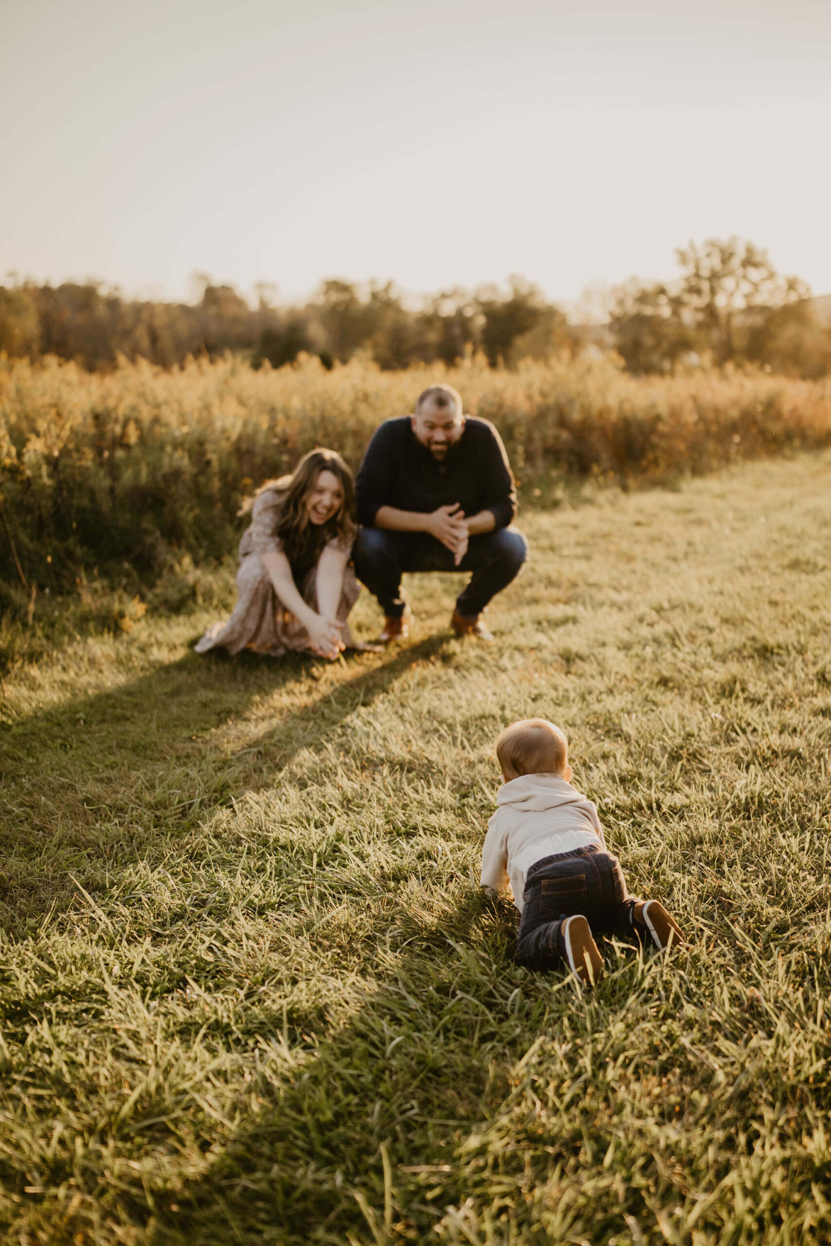 a baby in a field crawls towards his parents, who are crouched down to catch him during their family session