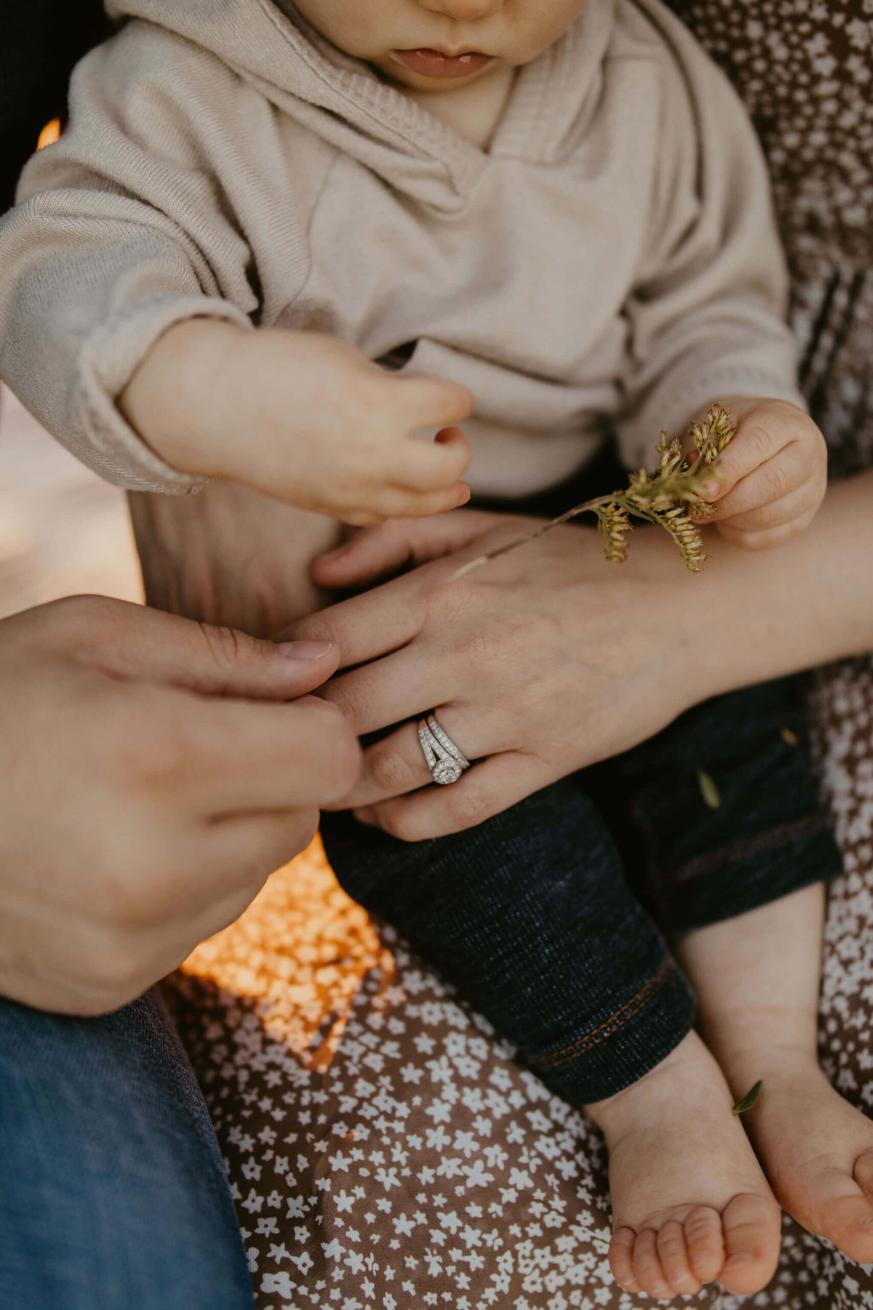 close up image of hands of father, mother, and son as the son plays with a blade of grass during a family session