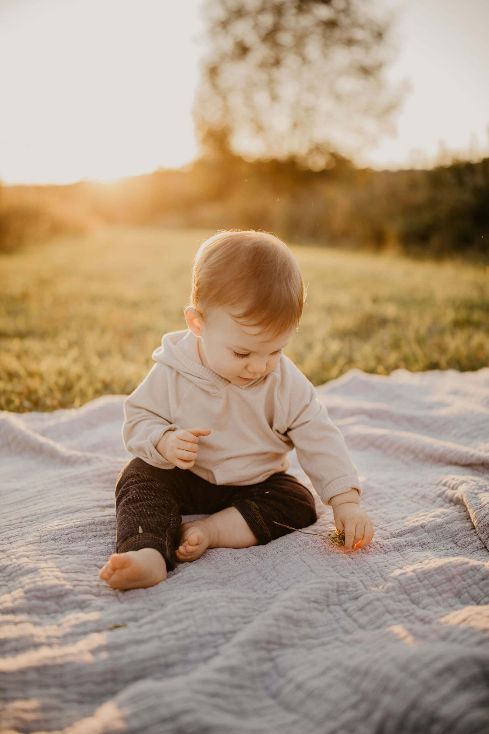 image of a young boy sitting on a picnic blanket in a field at sunset at Peace Valley Park