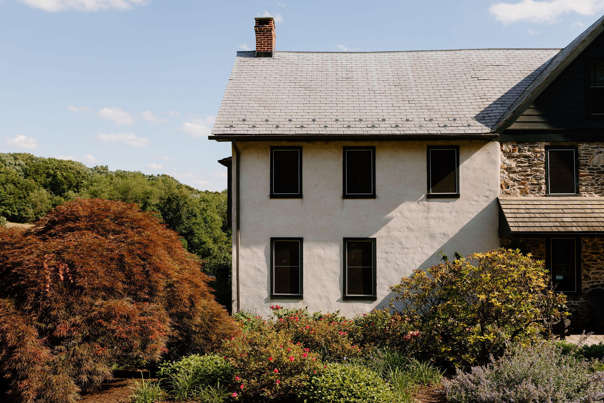 a stone farmhouse in Pennsylvania with a stucco addition, with pink rose bushes and other lush greenery and bushes in a garden in front of the house