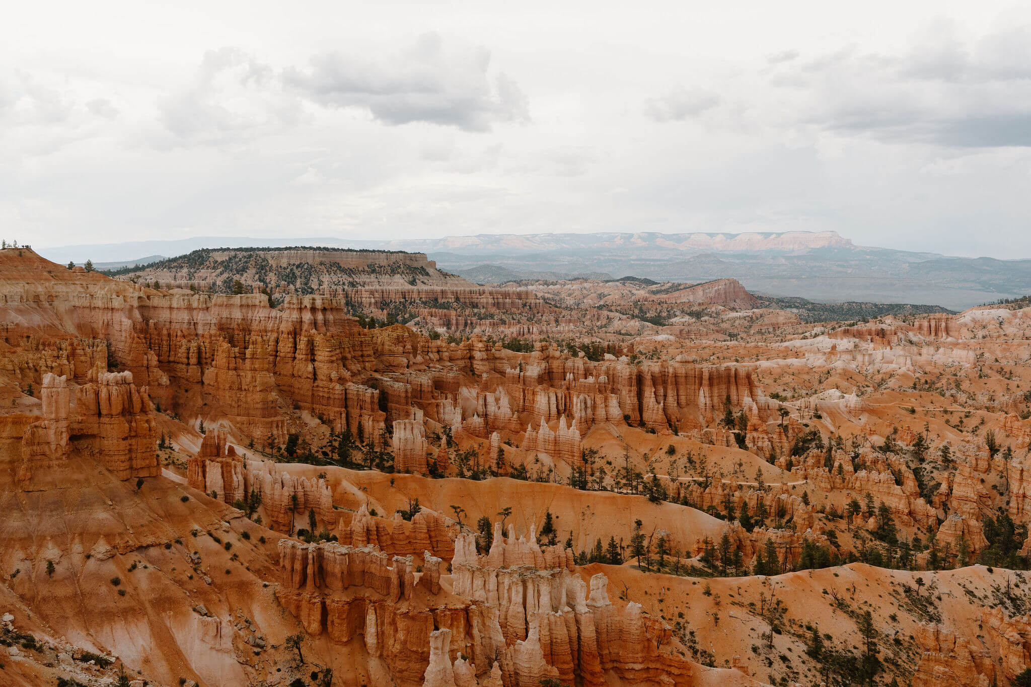 overlook of red-rock hoodoos and the desert landscape of Bryce Canyon National Park