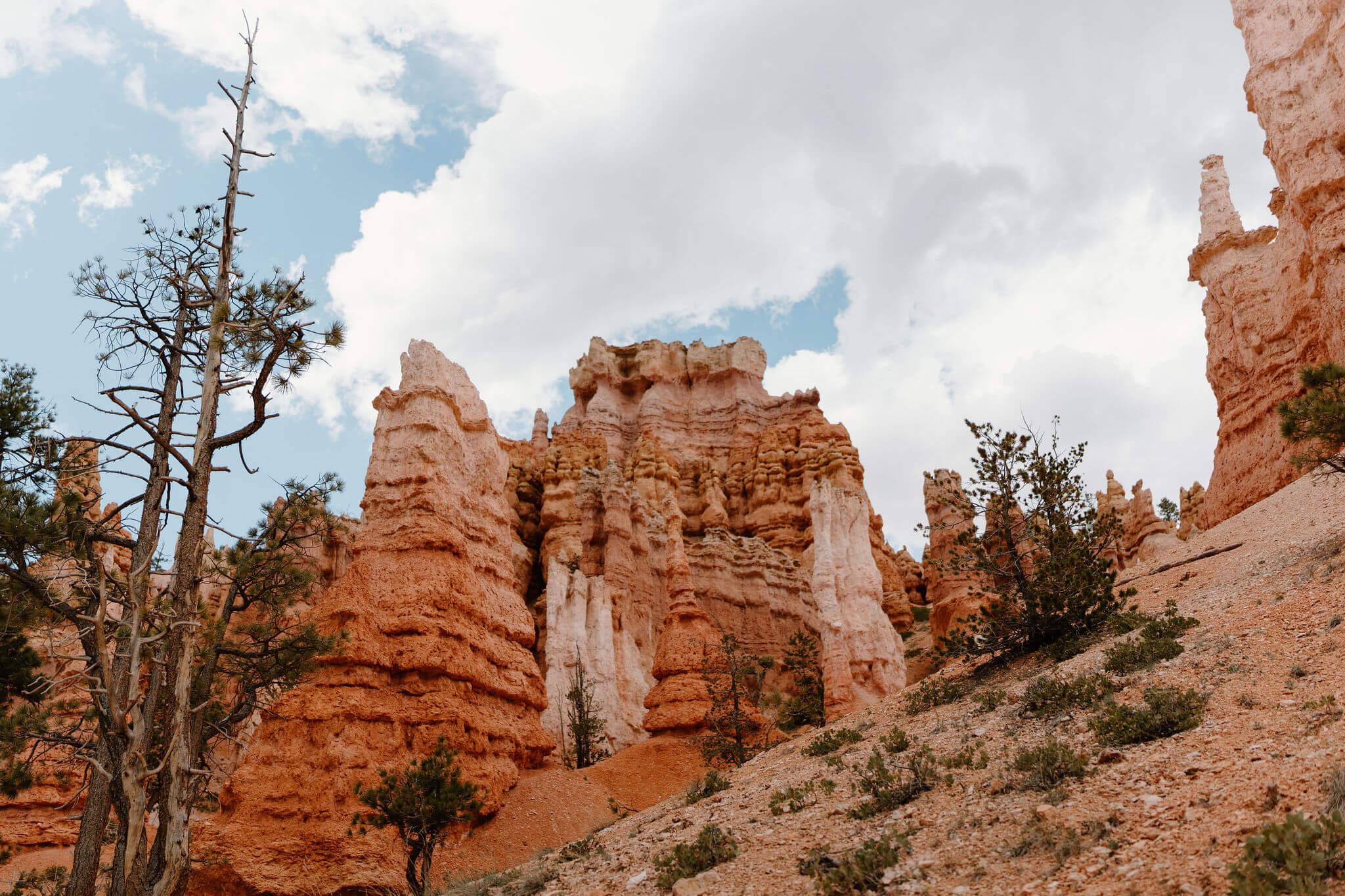 the view from the bottom of Bryce Canyon, looking up at the hoodoos around the rim