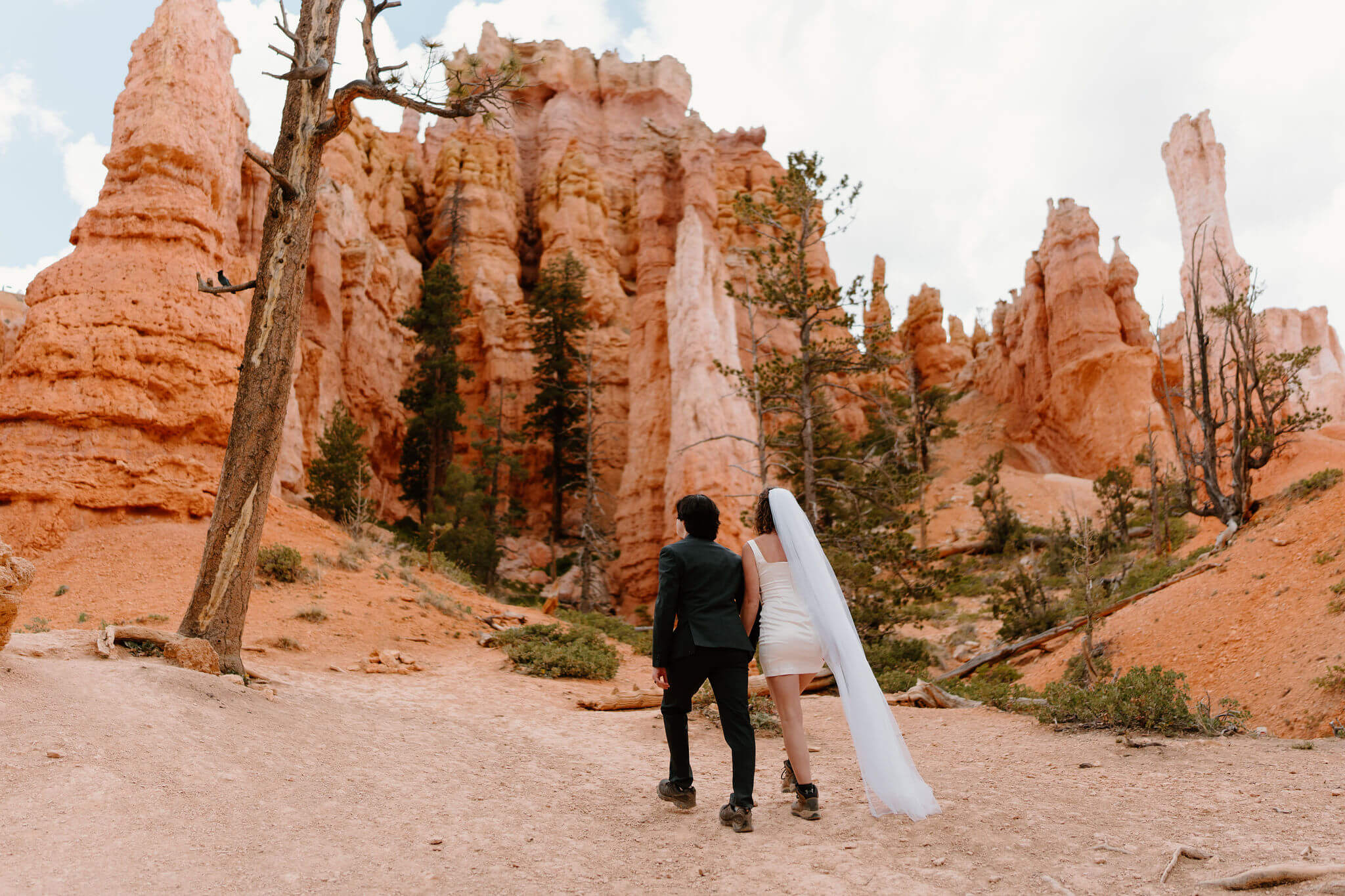 bride and groom walking up to the Queen's Garden viewpoint at Bryce Canyon National Park