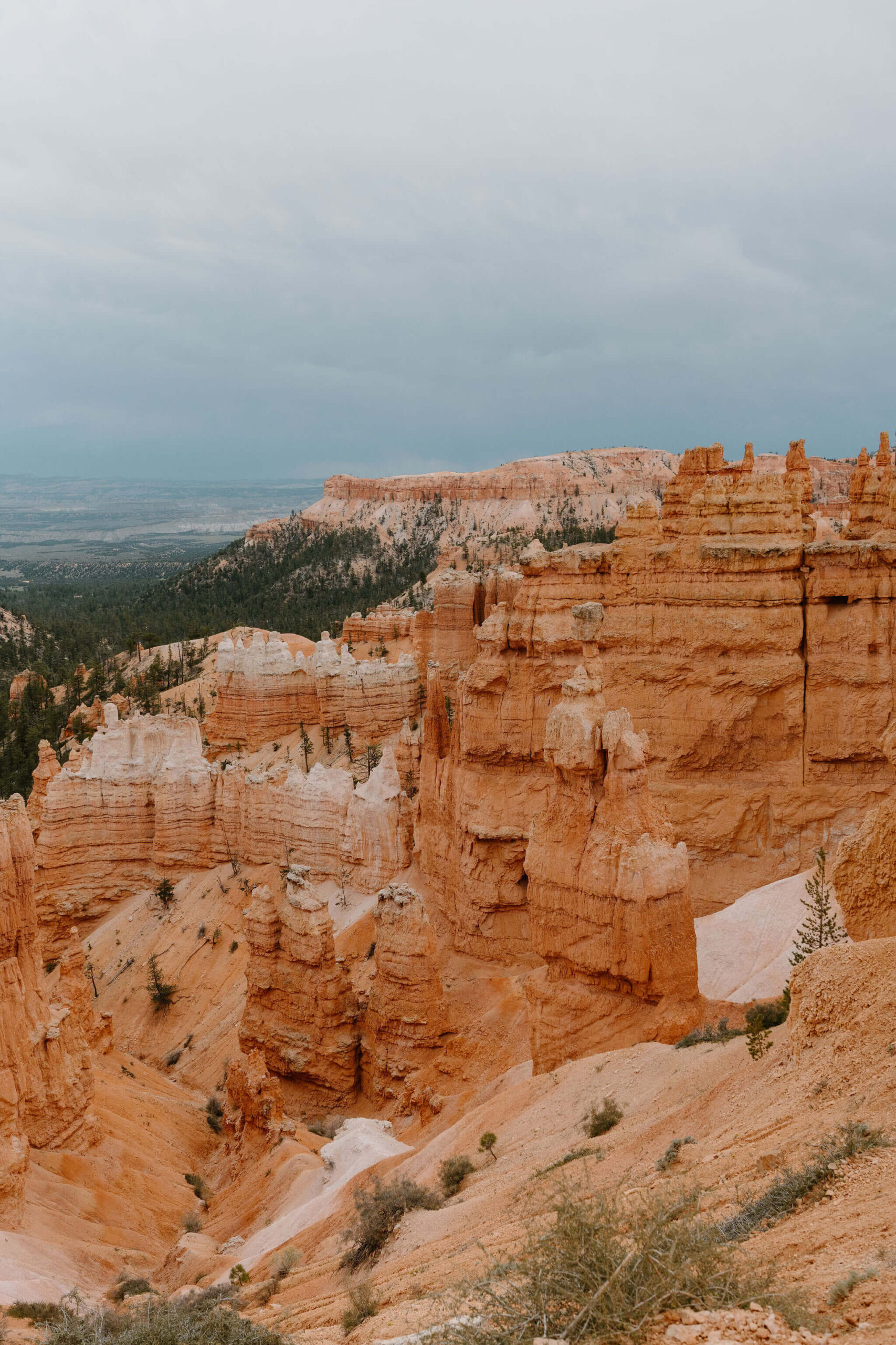 overlook of red-rock hoodoos and the desert landscape of Bryce Canyon National Park