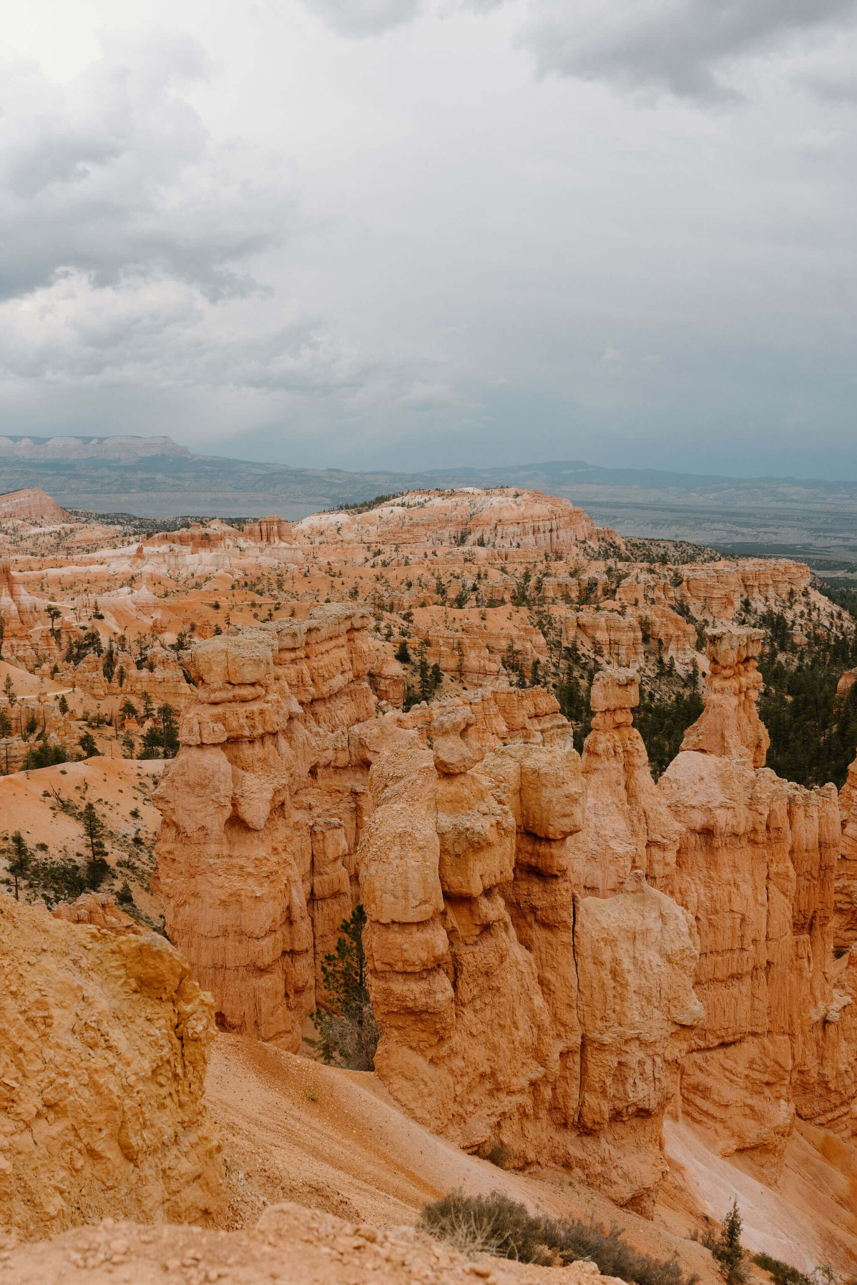 overlook of red-rock hoodoos and the desert landscape of Bryce Canyon National Park