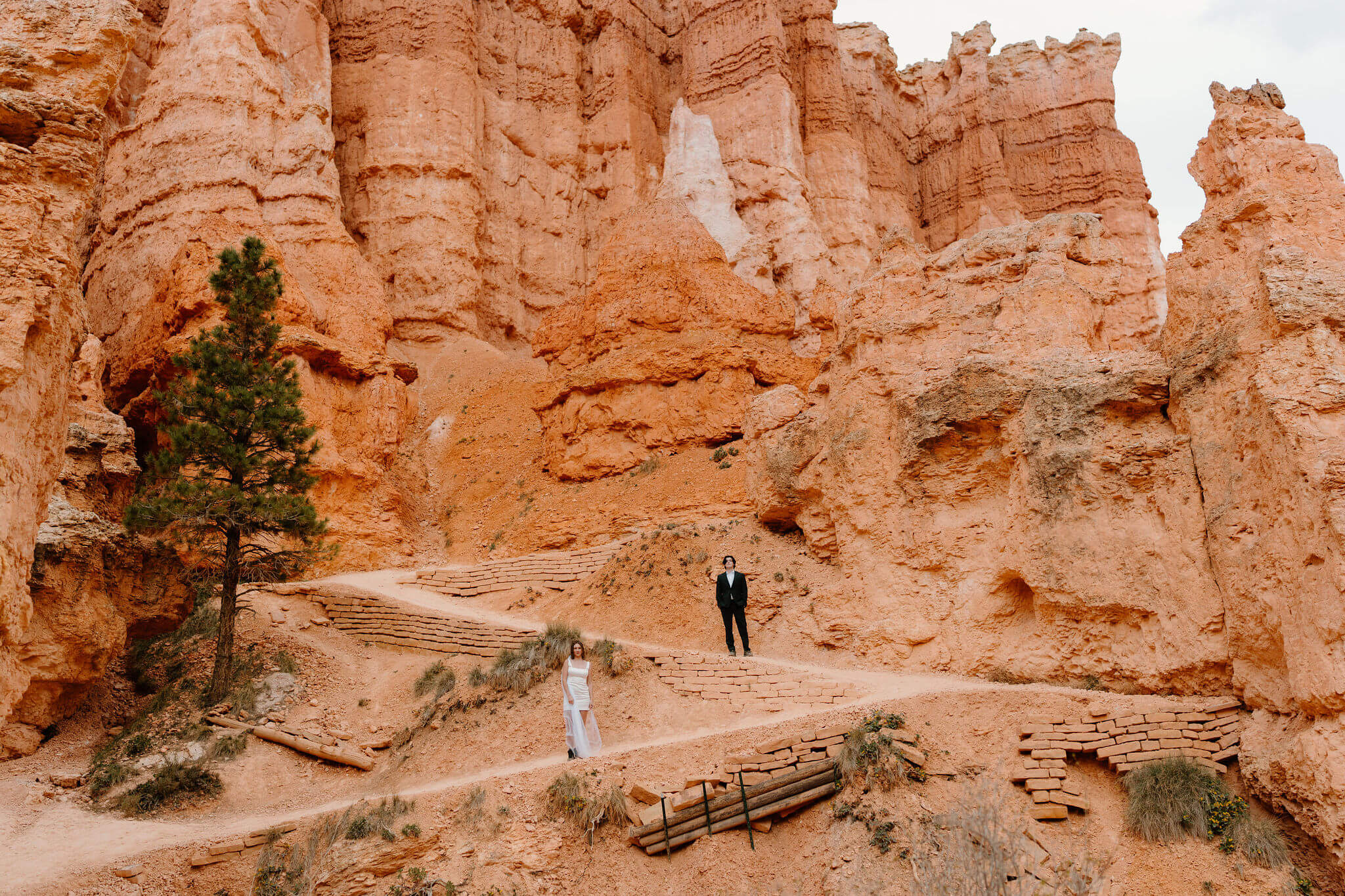 bride and groom posing stoically on different levels of a switchback on the Queen's Garden trail at Bryce Canyon National Park
