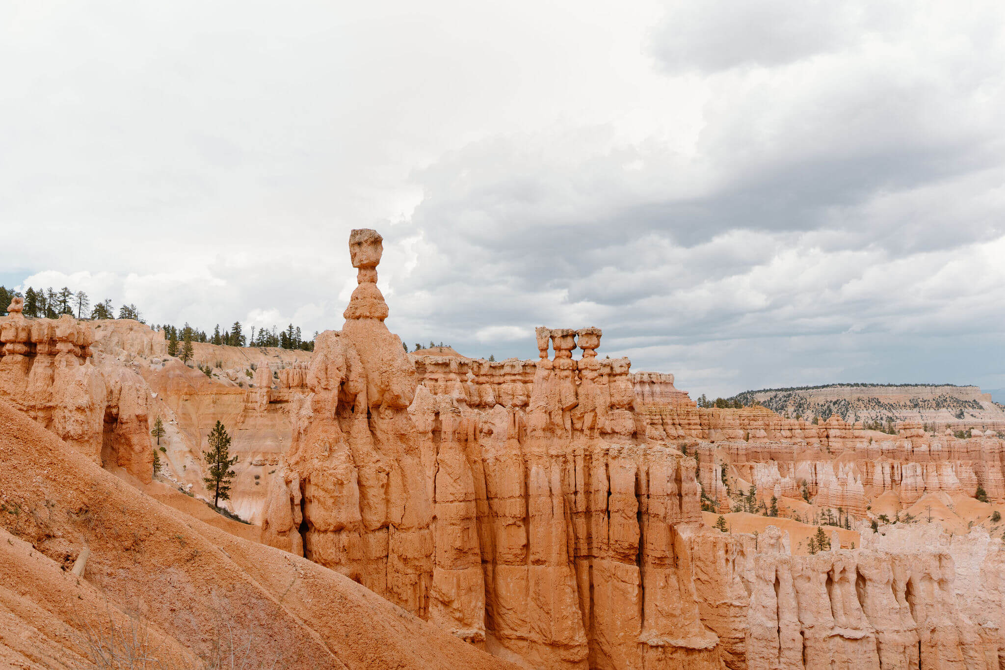 the view of the Thor's Hammer hoodoo from the Navajo Loop Trail at Bryce Canyon National Park