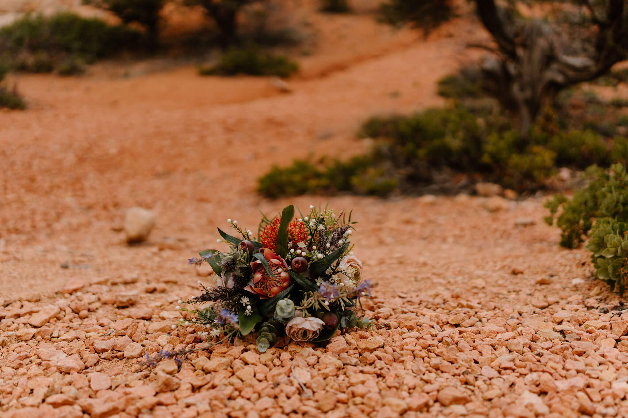 colorful bridal bouquet set on the ground in the desert, against a red rock and shrub background