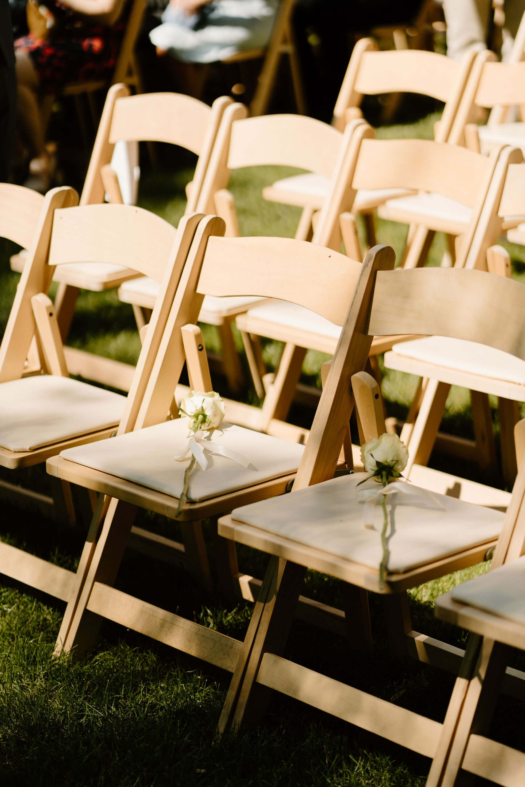 two single-stem white roses saving seats on light wooden ceremony chairs